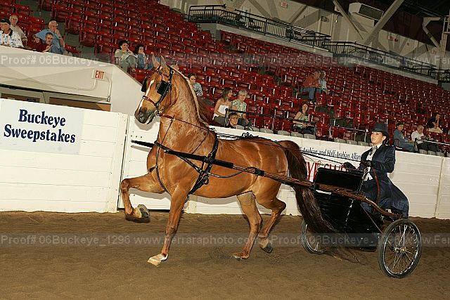 Proof 06buckeye_1296