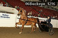 06buckeye_1296 proof