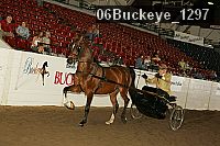 06buckeye_1297 proof