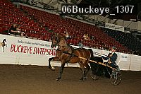 06buckeye_1307 proof