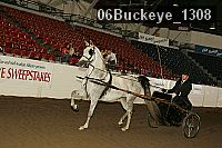 06buckeye_1308 proof