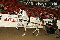 06buckeye_1310 proof