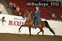 06buckeye_1312 proof