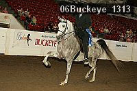 06buckeye_1313 proof
