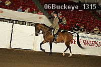 06buckeye_1315 proof