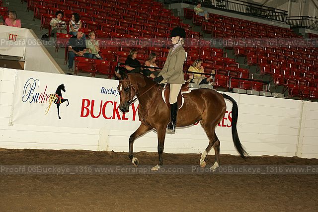 Proof 06buckeye_1316
