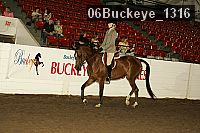 06buckeye_1316 proof