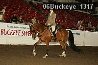 06buckeye_1317 proof