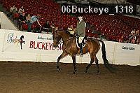 06buckeye_1318 proof