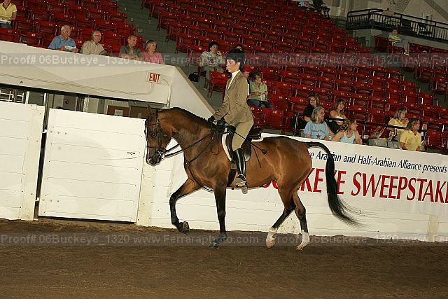 Proof 06buckeye_1320