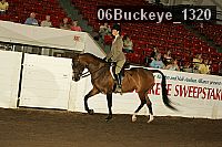 06buckeye_1320 proof