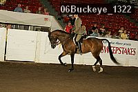 06buckeye_1322 proof