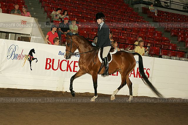 Proof 06buckeye_1323