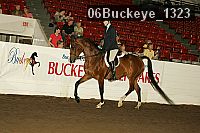 06buckeye_1323 proof