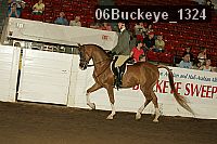 06buckeye_1324 proof