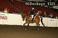 06buckeye_1325 proof