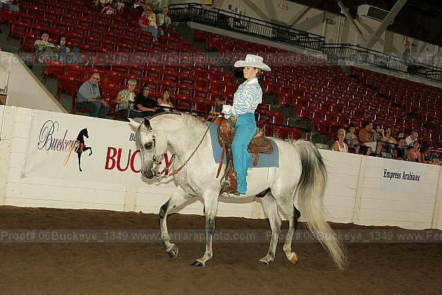 Proof 06buckeye_1349
