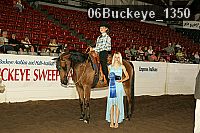 06buckeye_1350 proof