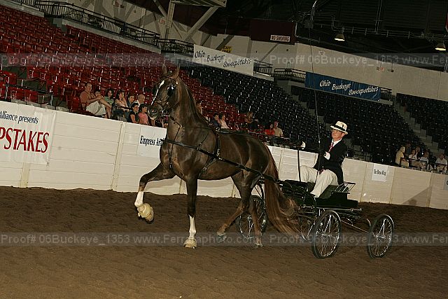 Proof 06buckeye_1353
