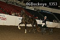 06buckeye_1353 proof