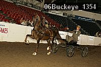 06buckeye_1354 proof