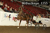 06buckeye_1355 proof