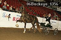 06buckeye_1356 proof