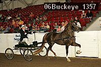 06buckeye_1357 proof
