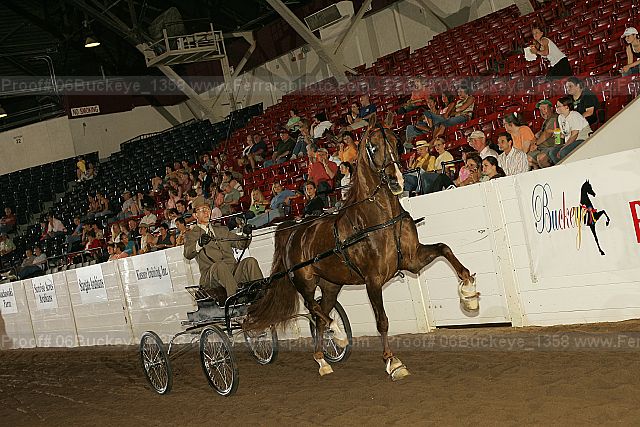 Proof 06buckeye_1358