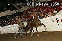 06buckeye_1358 proof