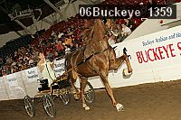 06buckeye_1359 proof
