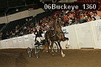 06buckeye_1360 proof