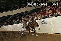 06buckeye_1361 proof