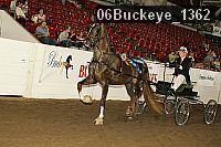 06buckeye_1362 proof