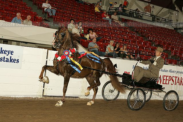 Proof 06buckeye_1364