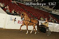 06buckeye_1367 proof