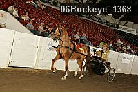 06buckeye_1368 proof
