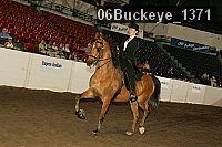 06buckeye_1371 proof