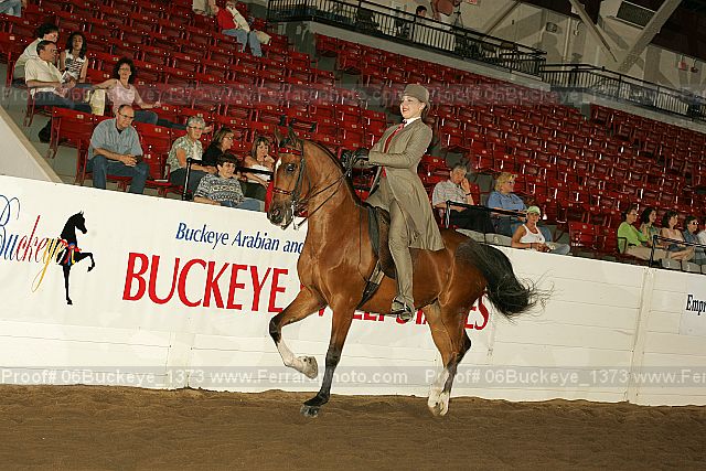 Proof 06buckeye_1373