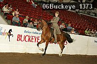 06buckeye_1373 proof