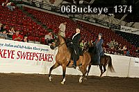 06buckeye_1374 proof