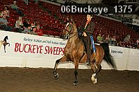 06buckeye_1375 proof