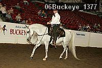 06buckeye_1377 proof