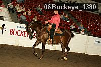 06buckeye_1380 proof