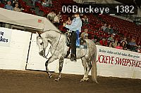 06buckeye_1382 proof
