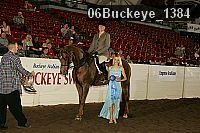 06buckeye_1384 proof