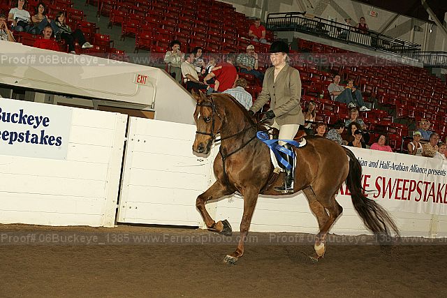 Proof 06buckeye_1385