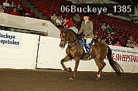 06buckeye_1385 proof