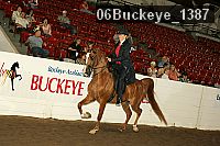 06buckeye_1387 proof