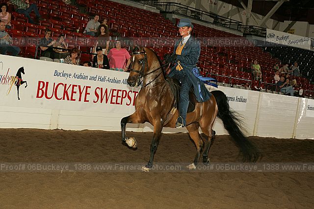 Proof 06buckeye_1388